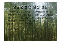 [관광마케팅] 담양군 딸기 클러스터 사업-3