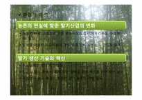 [관광마케팅] 담양군 딸기 클러스터 사업-11