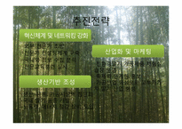 [관광마케팅] 담양군 딸기 클러스터 사업-17