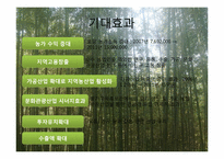 [관광마케팅] 담양군 딸기 클러스터 사업-18