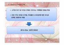 [광고와 마케팅] Sk Telecom 스마트폰 IMC 기획서-19
