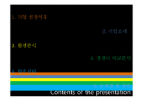 [인터넷 마케팅] 싸이월드의 현재 사업과 마케팅전략, 성공요인 및 성장방안-2