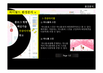 [인터넷 마케팅] 싸이월드의 현재 사업과 마케팅전략, 성공요인 및 성장방안-14
