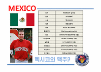 [국제경영] 그루포 모델로 Grupo Modelo 기업 분석-4