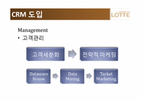 [경영정보 시스템] 롯데백화점 CRM 사례 조사-13