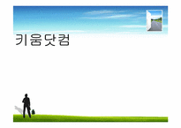 [경영혁신] 키움닷컴의 경영전략 분석 및 향후 발전 방향-1