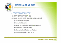 [조직행동론] ECKERD COLLEGE 조직내 문제점 및 해결방안-3