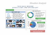 [마케팅 관리] 서울의 상징 `해치`의 BLUE Generation 대상 인지도 향상을 위한 도시마케팅 IMC 전략안-4
