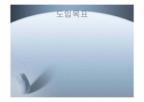 [경영학 MIS] LG생활건강의 ERP시스템-13