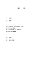 [사회복지] 협의회를 중심으로 한 지역사회복지 네트워크 구축 및 활성화 방안-2