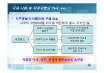[국가안보론] 동맹 속 자주 국방(한미동맹 강화를 중심으로)-10