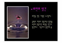 [프랑스 문화의 이해] 프랑스의 와인의 역사-2