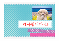[사회복지] 협의회를 중심으로 한 지역사회복지 네트워크 구축 및 활성화 방안-17
