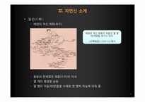 [역사와 신화] 중국의 자연신과 그를 통해 알아 본 중국의 사회상-5