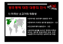 [자연과학] 광우병 논쟁과 대중의 위험인식-5