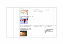 [교육학] 중학교1학년 교수학습 지도안-2. 청소년의 성과 우정-9