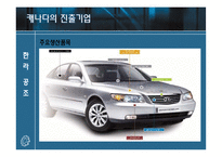 [국제기업환경론] 캐나다와 기업 진출사례 조사-19