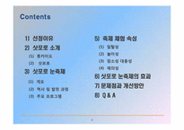 [축제이벤트론] 삿포로 눈축제-2