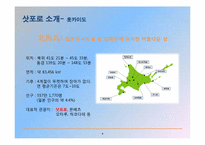 [축제이벤트론] 삿포로 눈축제-4