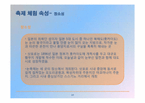 [축제이벤트론] 삿포로 눈축제-14