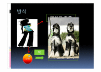 인간복제에 관한 고찰-3