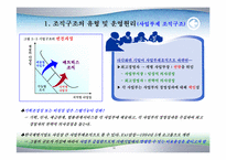 조직구조, 성과통제(Dexter, 삼성 사례),-14