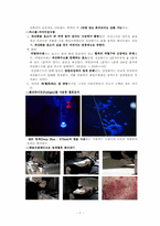 [생명화학] 드라마 `CSI`에서 나오는 생물학적 기술을 이용한 과학적 감식법의 원리-7
