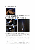 [생명화학] 드라마 `CSI`에서 나오는 생물학적 기술을 이용한 과학적 감식법의 원리-9