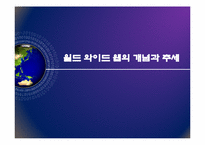 월드 와이드 웹의 개념과 추세-1