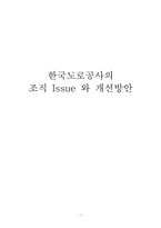 [조직개발론] 한국도로공사의 조직 Issue 와 개선방안-1