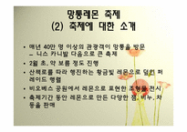 프랑스의 지역축제-4