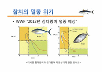 참치의 멸종 위기, 원인-4