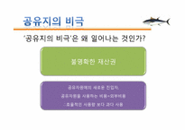 참치의 멸종 위기, 원인-8
