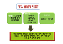 [정신보건] 정신장애인의 직업재활 -정신분열병 정신장애인을 대상으로-4