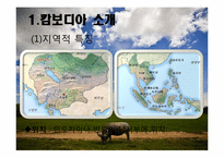 [다문화와 사회복지] 캄보디아 결혼 이민자를 위한 사회복지-3