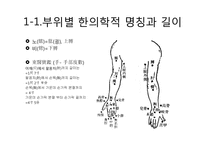 [침구] 팔의 한방-4