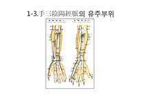 [침구] 팔의 한방-11