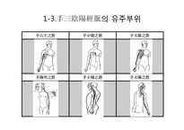 [침구] 팔의 한방-13