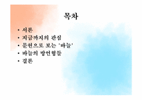 바늘의 어휘사 레포트-2