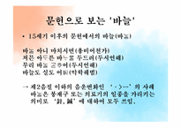 바늘의 어휘사 레포트-12