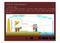 환경호르몬 레포트-4