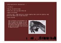 환경호르몬 레포트-12