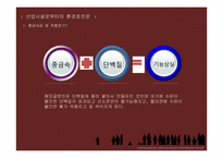 환경호르몬 레포트-17