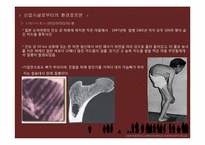 환경호르몬 레포트-19