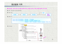 발효식품과 건강-10