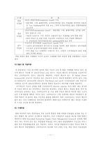 [다국적기업론] 다임러크라이슬러 m&a 전략-11