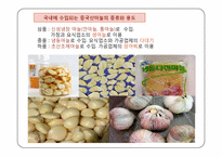 [국제통상] 한,중 마늘 세이프가드-3