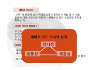 [국제통상] 한,중 마늘 세이프가드-5