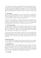 삼성전자와 GE의 인사 관리 시스템 비교 분석-7