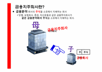 금융지주회사법 개정과 보험산업-11